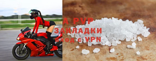 стафф Белокуриха