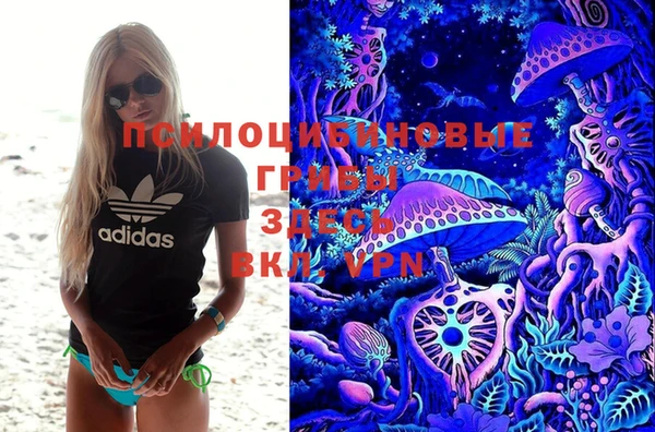 стафф Белокуриха