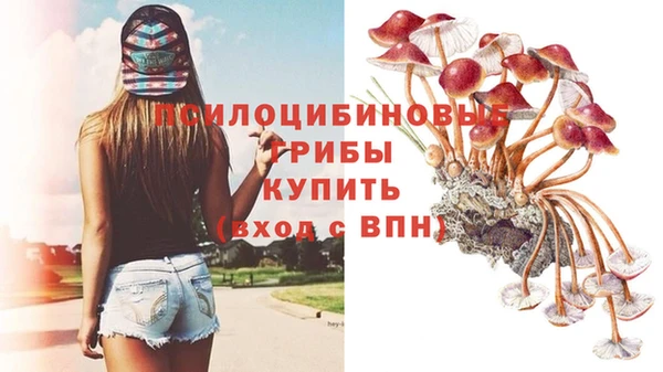 амф Беломорск